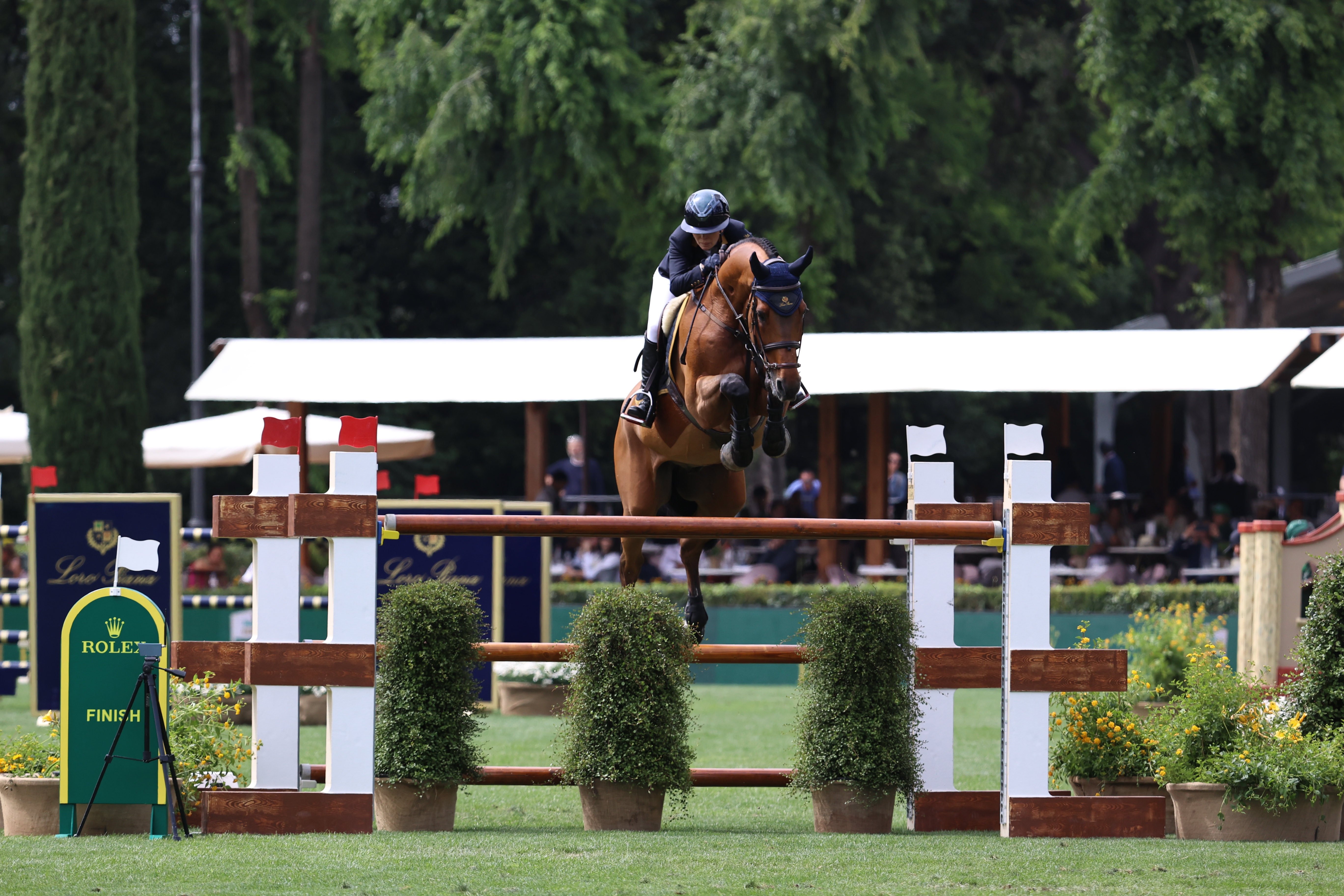 Corelli de Mies 5th in the Loro Piana Trophy at Piazza di Siena