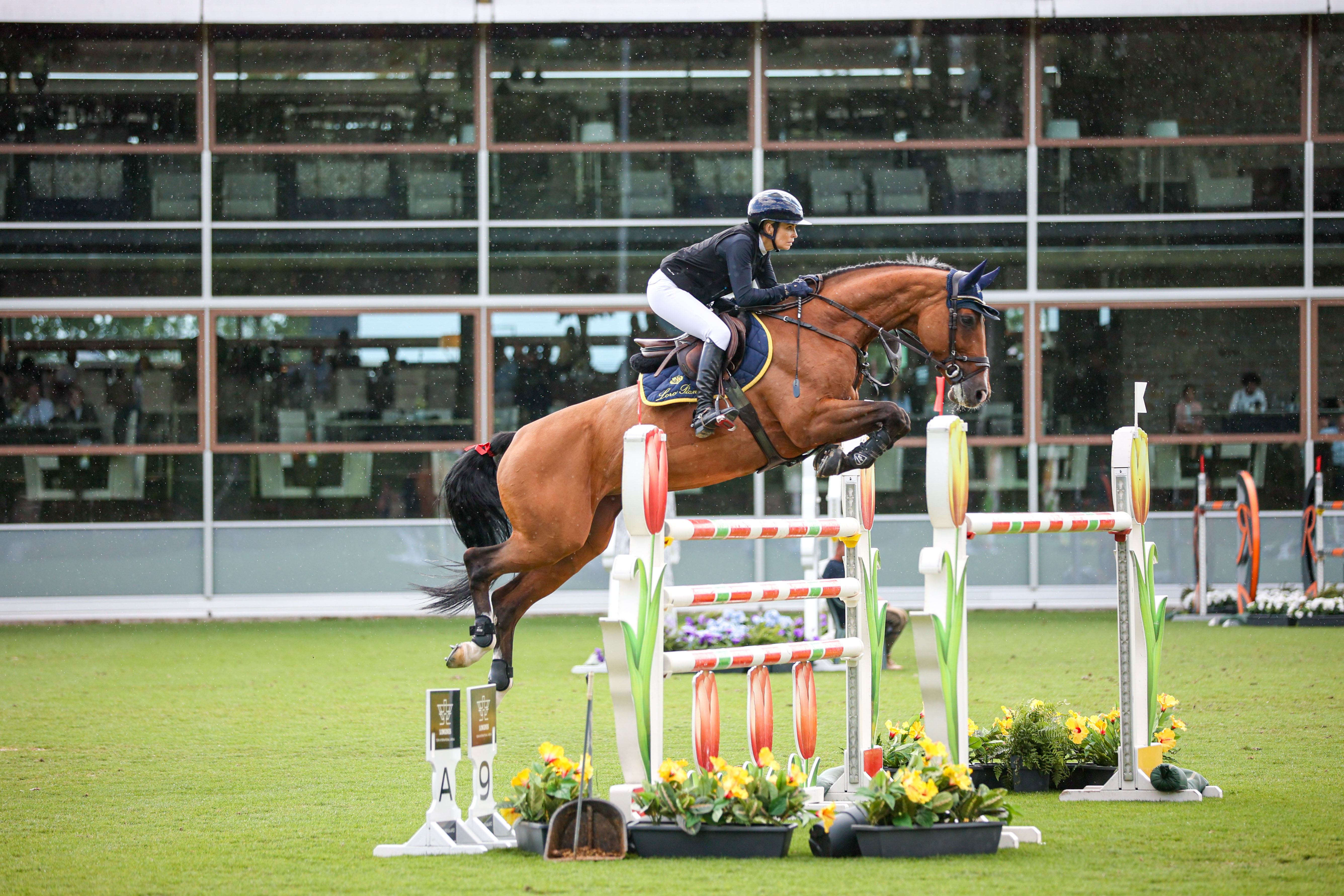 Week 2 at the 2023 Summer Festival at Longines Tops International Arena